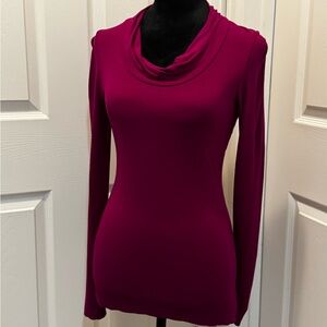 ✨Practically Brand New✨ Banana Republic Elegant Dark Magenta Long Sleeve Top ✨